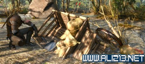 《巫师3：狂猎》明矾如何获得 巫师3 明矾