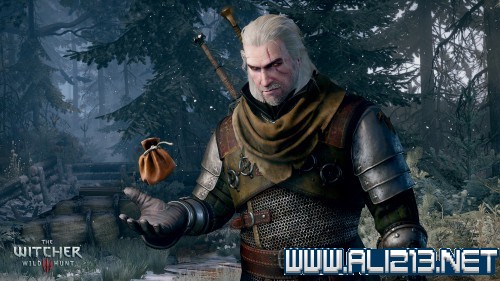 《巫师3:狂猎》赚钱方法攻略(巫师3狂猎如何赚钱)