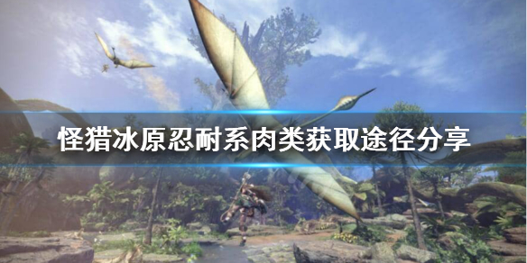 怪猎冰原忍耐系肉类怎么获得 怪物猎人世界冰原技能效果