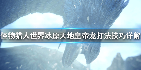 怪物猎人世界冰原天地皇帝龙怎么打（怪物猎人世界冰原黑龙怎么打）