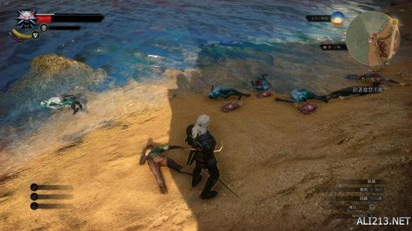 《巫师3:狂猎》水鬼打法图文攻略