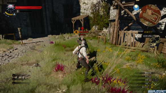 《巫师3:狂猎》970sli以及980单卡全最高画质测试攻略