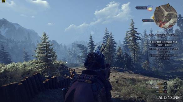 《巫师3：狂猎》A卡帧数提升方法 巫师3各显卡帧数测试