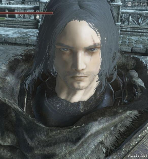 《黑暗之魂3》大盾大剑流开荒感受 黑暗之魂3前期大盾