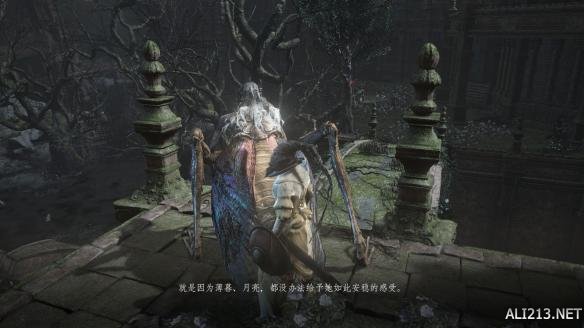 黑暗之魂3环之城剧情背景图文全解析 dlc2剧情是什么