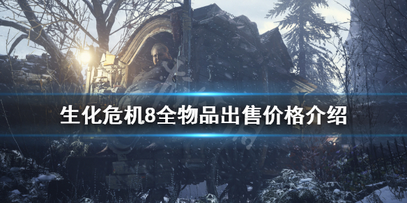 生化危机8物品多少钱（生化危机8到哪买）