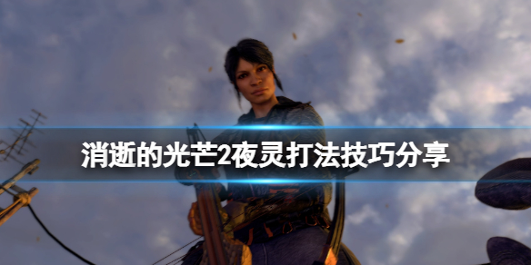 消逝的光芒2夜灵不见了怎么办（消逝的光芒2怎么回事）