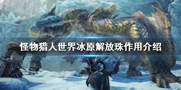 怪物猎人世界冰原解放珠有什么用（怪物猎人世界冰原集中珠子）