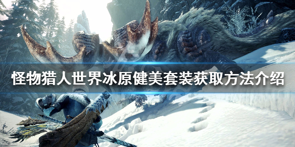 怪物猎人世界冰原健美套装怎么获得（怪猎冰原健美套有外观吗）