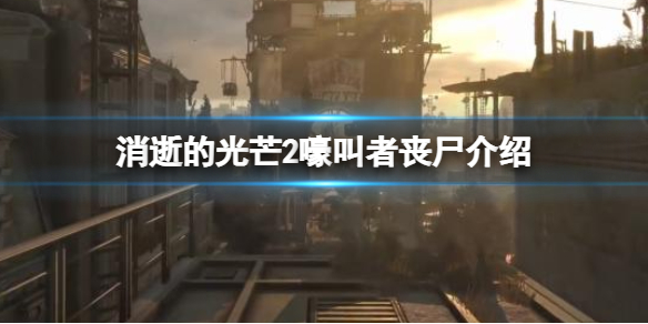 消逝的光芒2嚎叫者是什么（消逝的光芒2嚎叫者是什么）