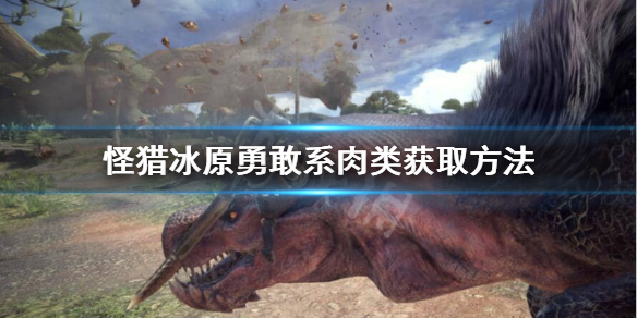 怪猎冰原勇敢系肉类怎么获得（怪物猎人冰原稀有动物）