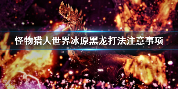 怪物猎人世界冰原黑龙打法是什么 怪物猎人世界冰原黑龙打法是什么意思
