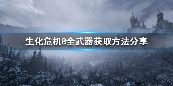 生化危机8武器如何获取 生化危机8通关后买什么武器