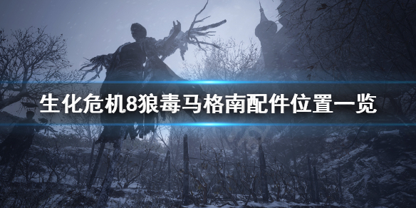 生化危机8马格南配件在哪（生化危机2马格南配件）