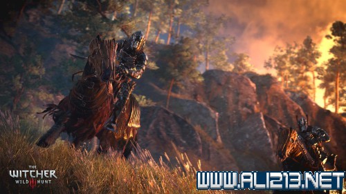 《巫师3:狂猎》披着狼皮任务过关正确玩法攻略 披着狼皮任务怎么做