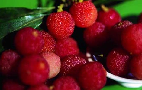 杨梅采摘和挑选方法(杨梅采摘注意事项)