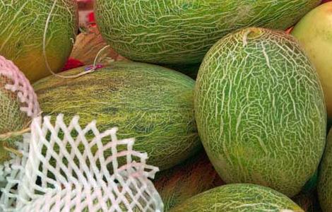 哈密瓜的产地分布 哈密瓜的主要产地