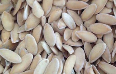 哈密瓜种子处理方法（哈密瓜种子处理方法图解）