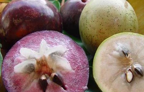 金星果的栽培技术（金星果的栽培技术与管理）