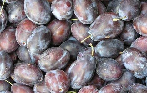 西梅产地在哪里(西梅产地在哪里?)