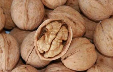 核桃什么时候成熟（核桃什么时候成熟上市）