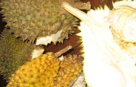 榴莲肉怎么保存才好（榴莲肉怎么保存好吃）