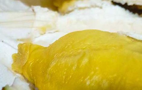 榴莲坏了是什么样的（榴莲坏了是什么样的味道?）