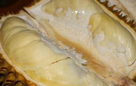 榴莲可以放冰箱吗（榴莲可以放冰箱吗几天）