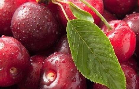 樱桃里面有虫子怎么办 樱桃里面有虫子怎么办视频