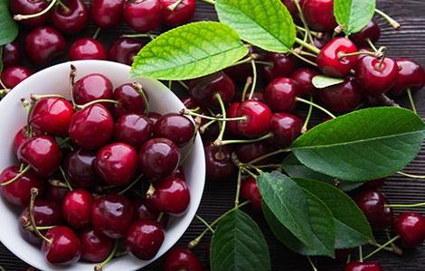 车厘子的栽培技术（车厘子栽培技术与管理视频）