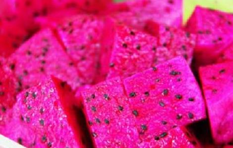 火龙果种植注意事项（火龙果种植注意事项和禁忌）