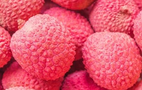 如何提高荔枝的产量(如何提高荔枝的产量和产量)