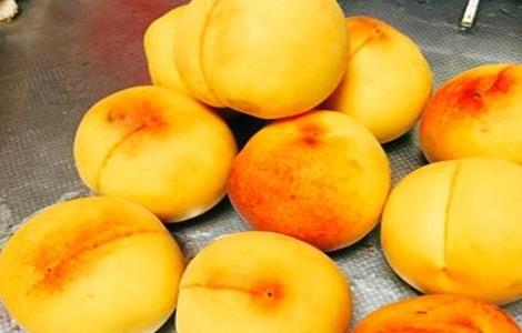 黄桃种植注意事项 黄桃种植注意事项有哪些