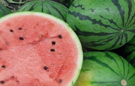 西瓜常见品种 西瓜常见品种图片