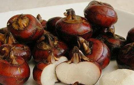 荸荠该怎么种 荸荠怎么种植