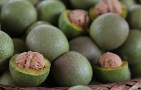 核桃树的管理要点（核桃树的管理方法）