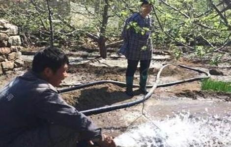 苹果树越冬防寒措施 果树如何防寒过冬