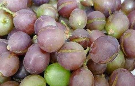 葡萄该如何补钙（葡萄该如何补钙呢）