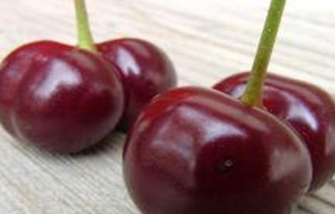 樱桃双胞胎果发生原因及防治措施(樱桃双胞胎怎么回事)