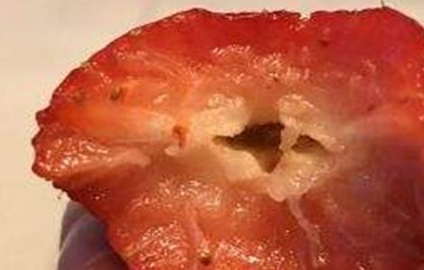 草莓空心预防措施(草莓空心预防措施是什么)