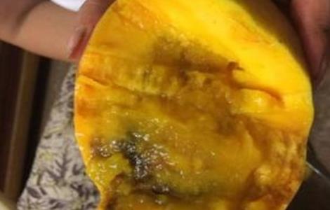 芒果烂果原因及防治方法(芒果裂果病如何预防)