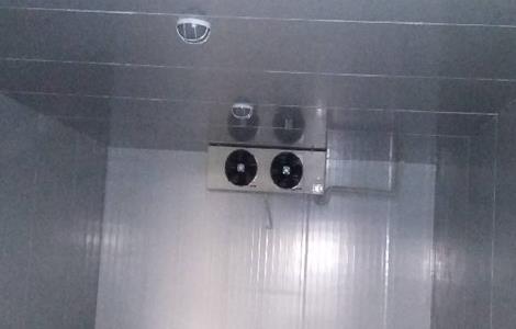 桃子的保鲜方法 桃子的保鲜方法视频