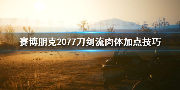 赛博朋克2077刀剑流肉体怎么加点（赛博朋克2077武士刀流技能点）