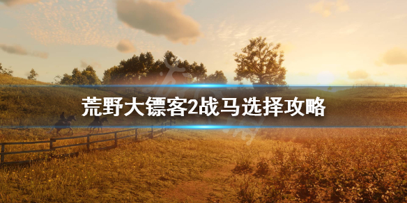 荒野大镖客2战马怎么选（荒野大镖客2线上战马有什么用）