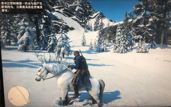 荒野大镖客2马匹怎么驯服 荒野大镖客2怎么驯马?驯服方法技巧介绍