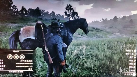 荒野大镖客2马怎么满速度(荒野大镖客2马怎么加速度)