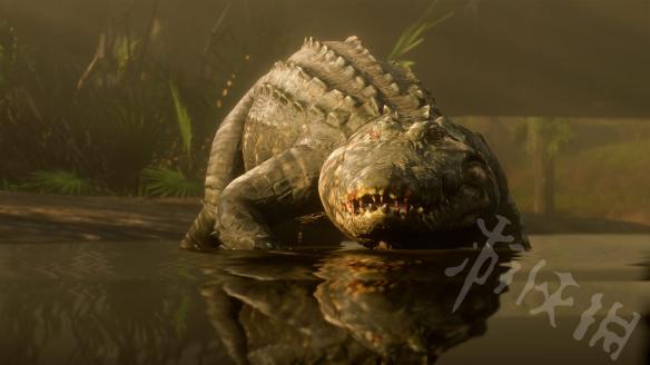 荒野大镖客2高风险宝藏怎么拿 荒野大镖客2高风险藏宝图怎么触发