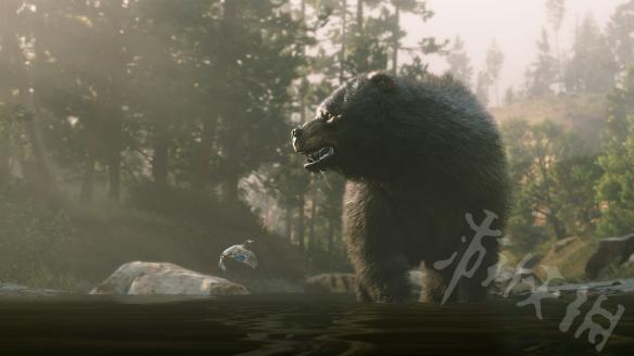 荒野大镖客2陨石怎么拿（荒野大镖客2陨石怎么拿下来）