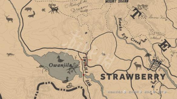 荒野大镖客2奖杯攻略要点分析（荒野大镖客2全奖杯攻略）