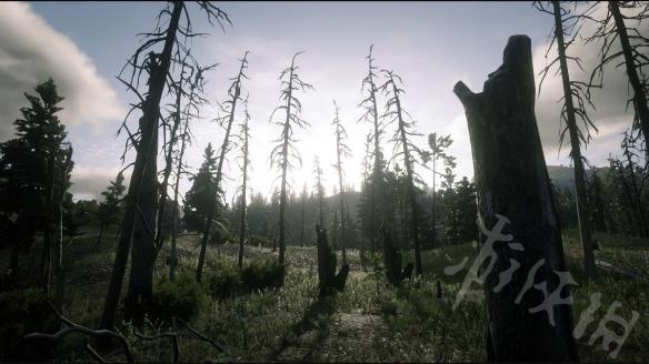 荒野大镖客2完美毛皮需要什么武器（荒野大镖客2完美的狐皮用什么武器打）